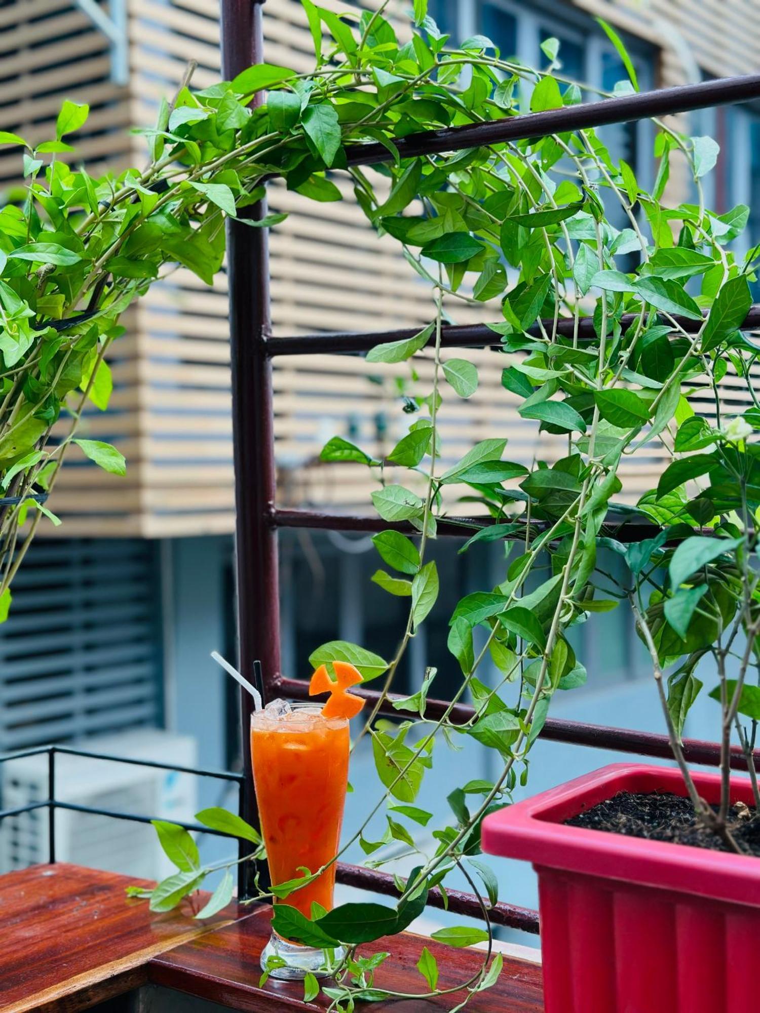 T Zone Hostel - Quiet Place, Near China Town,Ho Thi Ky Street Food,Cafe,Beer ホーチミン市 エクステリア 写真